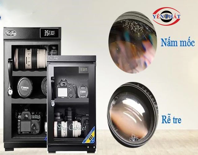 tủ chống ẩm Ngăn chặn tuyệt đối nấm mốc, "rễ tre"
